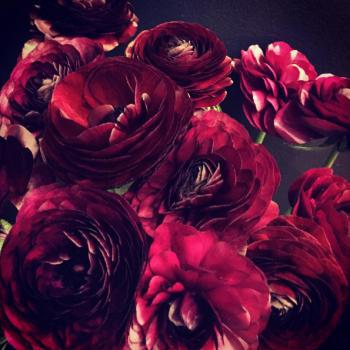 Eden Flower Design