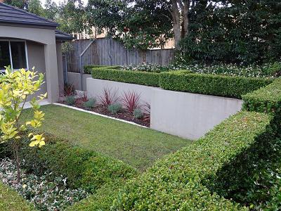 Vision Horticulture