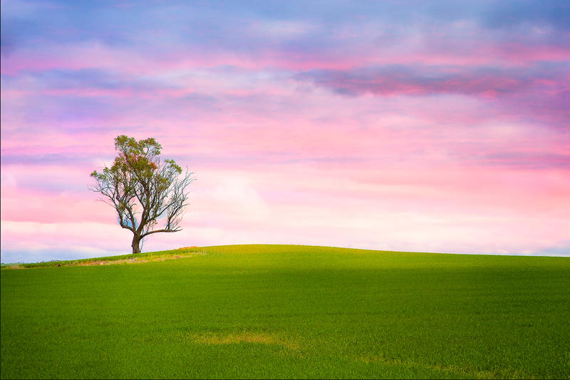 The Photographic Society of Australia: Sutton Centre
