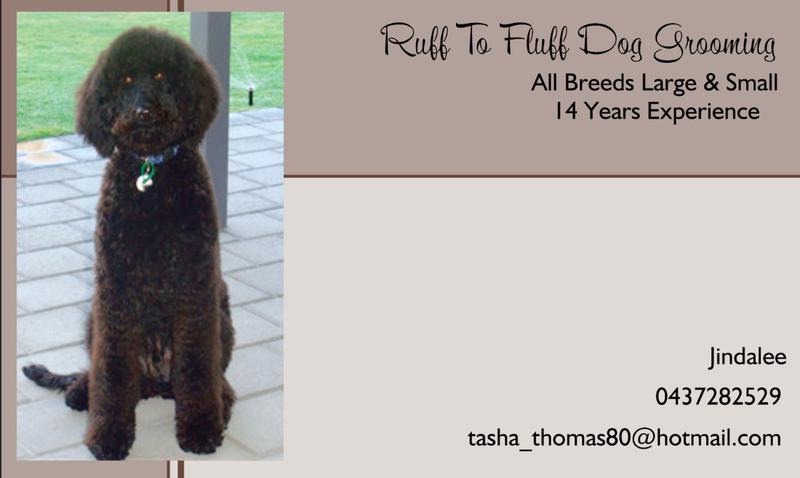 Ruff To Fluff Dog Grooming