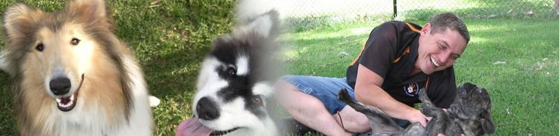 Allbreeds K9 Bootcamp & Pet Retreat