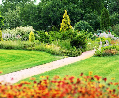 A&A Abloom Ace Gardening Services