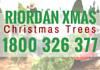 Riordan Xmas
