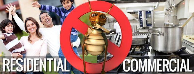 Westate Pest Control Perth