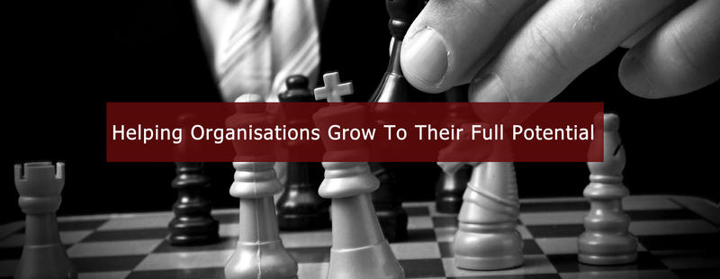 Illumina Business Consulting