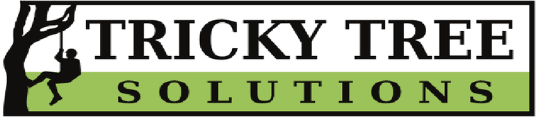 Tricky Tree Solutions
