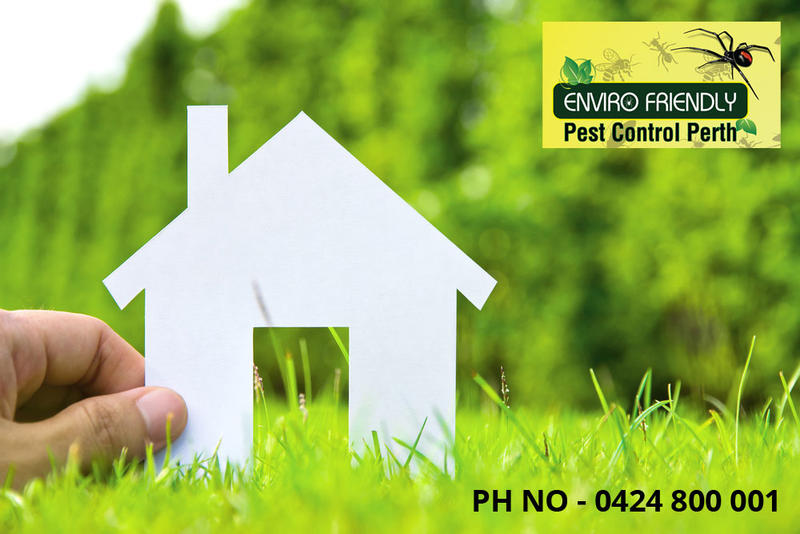 Envirofriendly Pest Control Perth