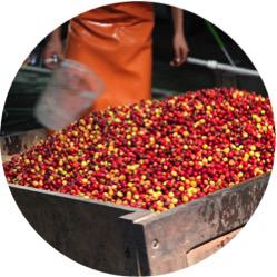 Loaded Craft Coffee Roasters