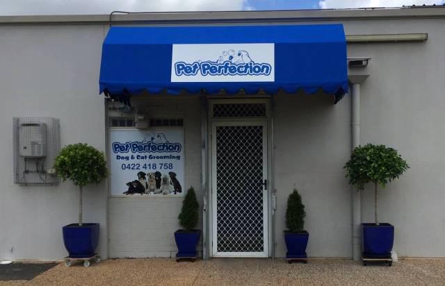 Pet Perfection