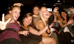 Sydney Limousine Services
