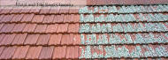 Roof Restoration Townsville