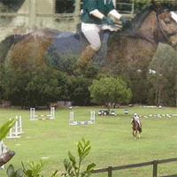 Wattle Creek Equestrian Centre