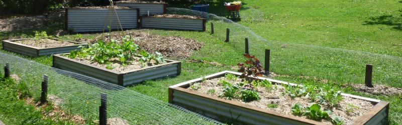 Urban Farmers