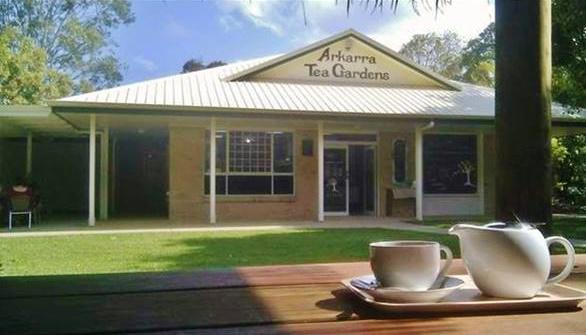 Arkarra Tea Gardens