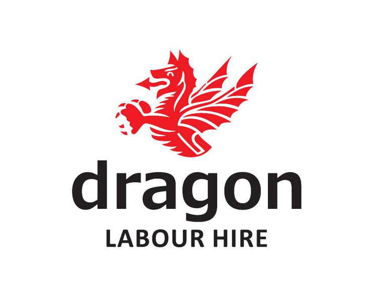 The Dragon Group