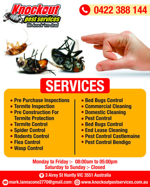 Knockout Pest Services: Huntly