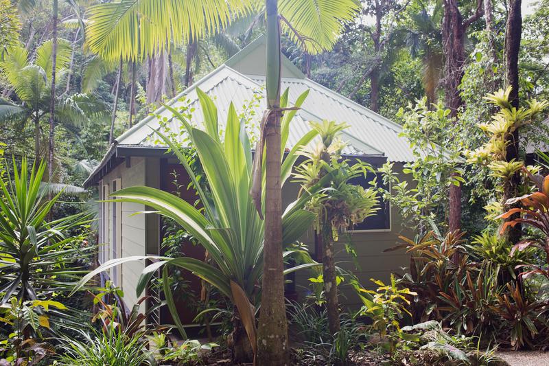 Daintree Ecolodge & Spa