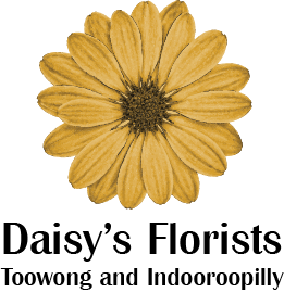 Daisy's Florist: Toowong logo