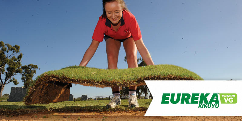 Horsham Instant Turf