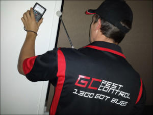 GC Pest Control: Brisbane