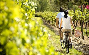 Hunter Valley Tours