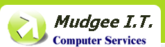 Mudgee IT logo