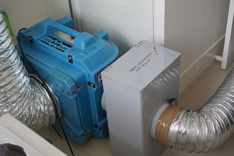 Mould Removal Brisbane