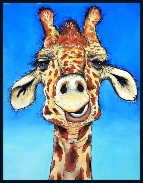 Sturt Street Gallery & Classes