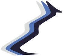 Cerberos Brokers Pty Ltd