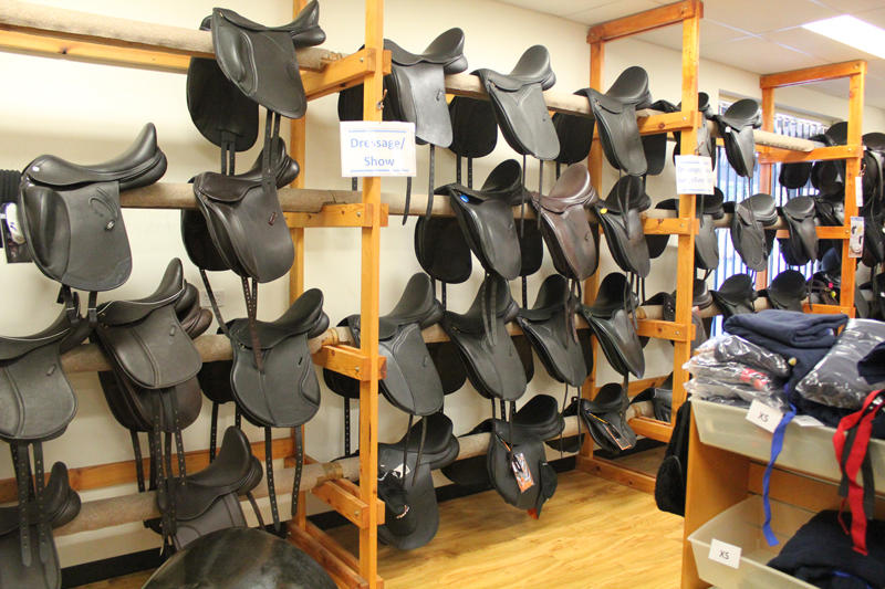 Saddles Plus