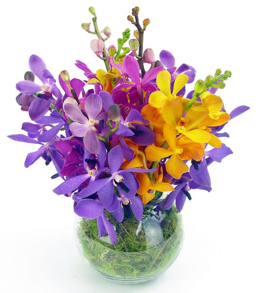 Flowers Across Sydney
