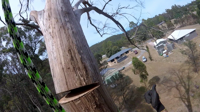 Rock Solid Tree Service