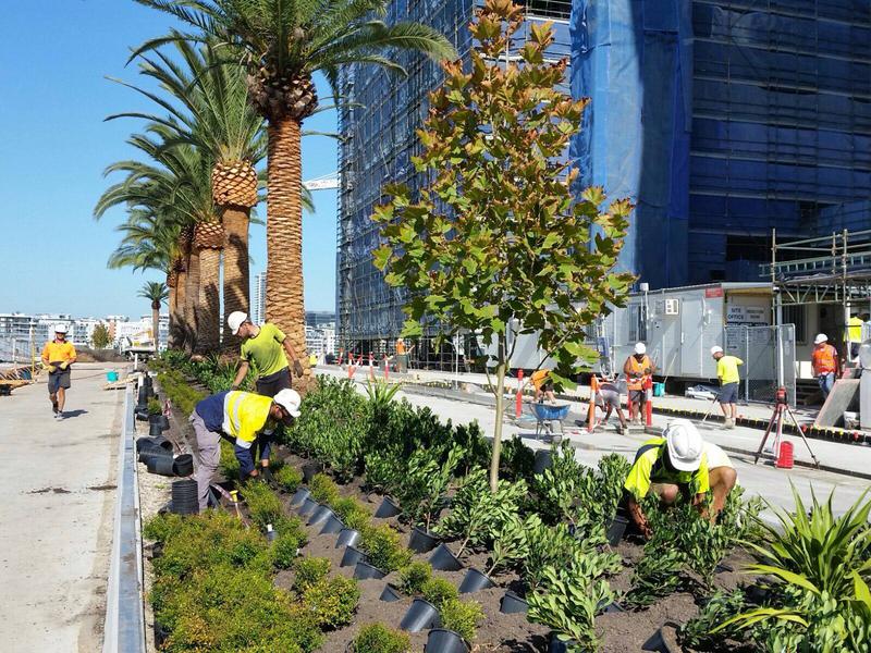 Ecoplant Australia Pty Ltd