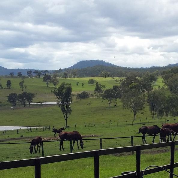 Warralong Park