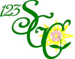 123 Squeaky Green Clean logo