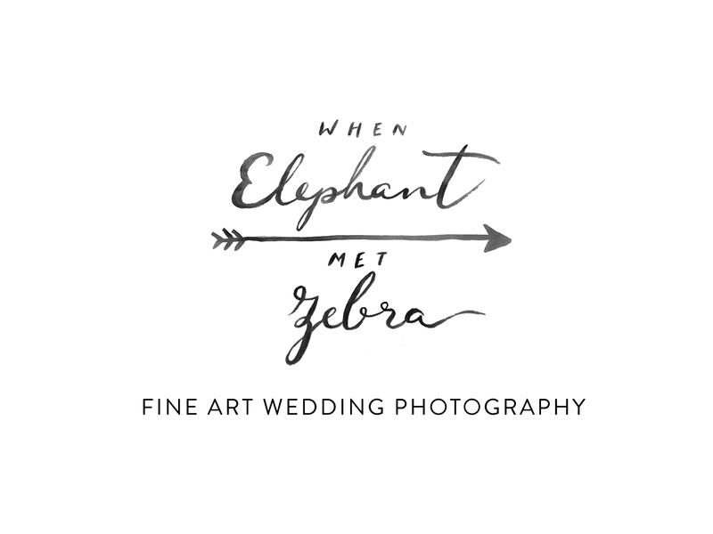 When Elephant Met Zebra: Gold Coast