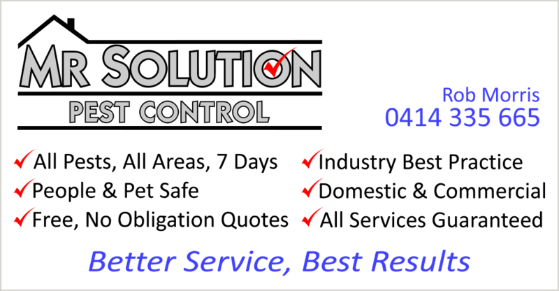 Mr Solution Pest Control