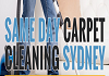 Same Day Carpet Cleaning logo
