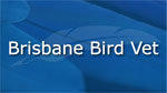 Brisbane Bird Vet