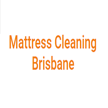 Wet Carpet Clean Team logo