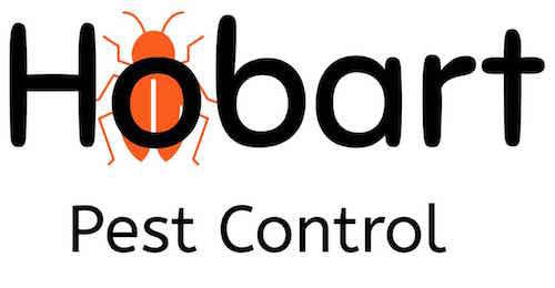Hobart Pest Control