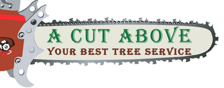 A Cut Above Tree Service logo