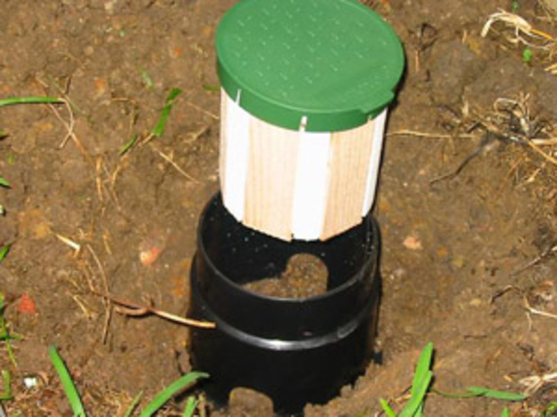 The White Ant Specialists