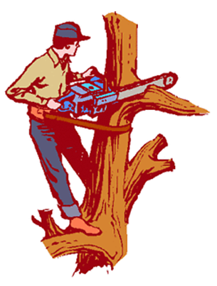 CTL Services logo