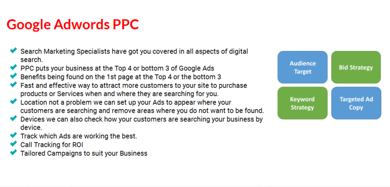 Search Marketing Specialists