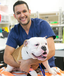 Animal Emergency Service: Underwood