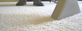 Top Ryde Carpet Cleaning