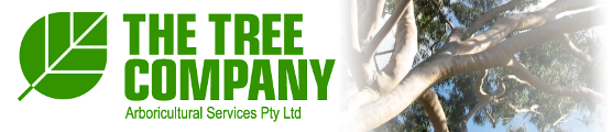 The Tree Company