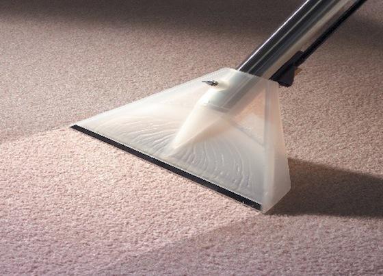 My Home Carpet Cleaner