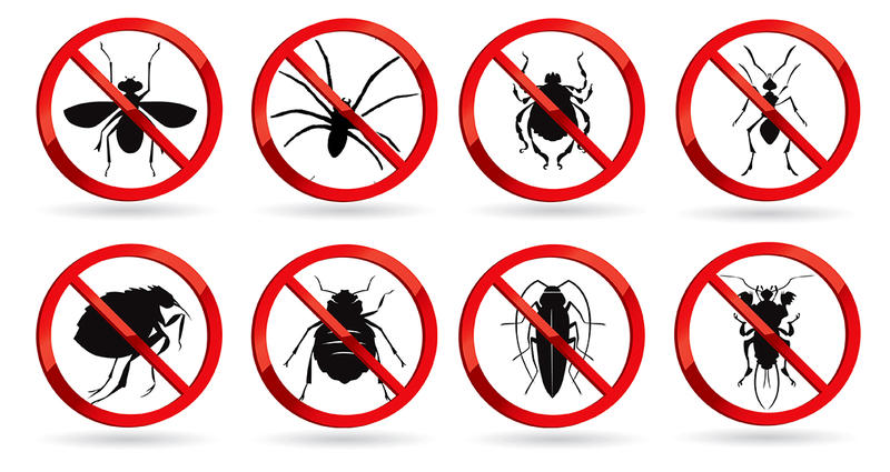 Express Pest Control: Inala